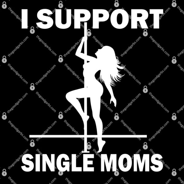 I Support Single Moms T-Shirt