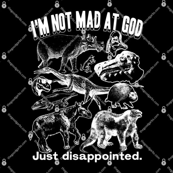 I'm Not Mad At God Just Disappointed by @ArcaneBullshit T-Shirt