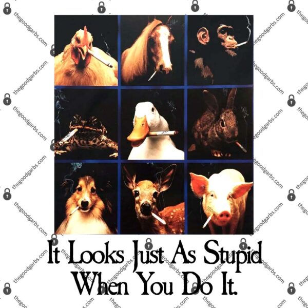 It Looks Just As Stupid When You Do It T-Shirt