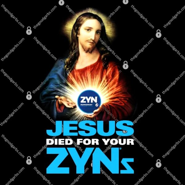 Jesus Died For Your Zyns T-Shirt