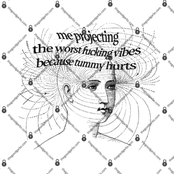 Me Projecting The Worst Fucking Vibes T-Shirt