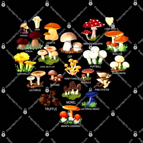 Mushroom Shirt Mushroom Mycology Fungi Foraging Mushrooms Whisperer T-Shirt