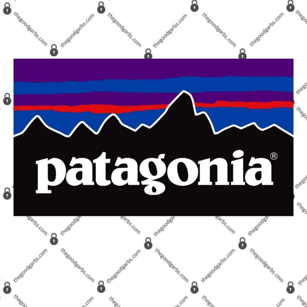 Patagonia Logo T-Shirt