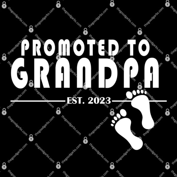 Promoted To Grandpa Established 2023 T-Shirt