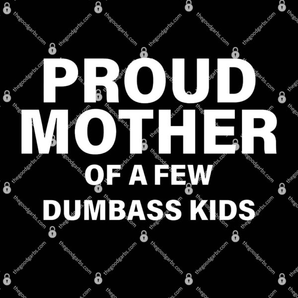 Proud Mother Of A Few Dumbass Kids T-Shirt