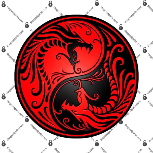 Red and Black Yin Yang Dragons T-Shirt
