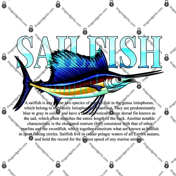 Sailfish T-Shirt