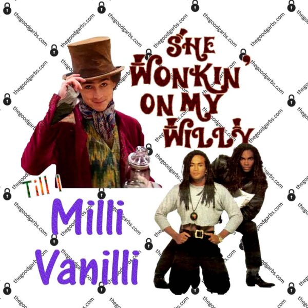 She Wonkin' On My Willy Till I Milli Vanilli T-Shirt