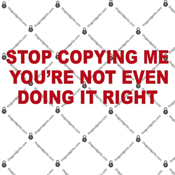 Stop Copying Me You're Not Even Doing It Right T-Shirt