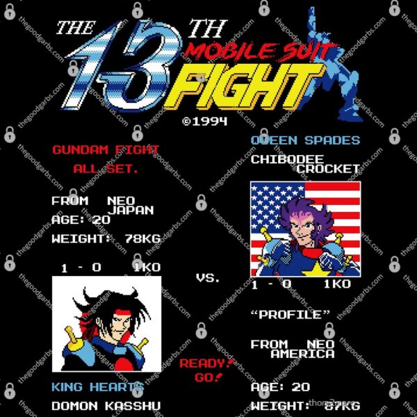 The 13th Fight T-Shirt
