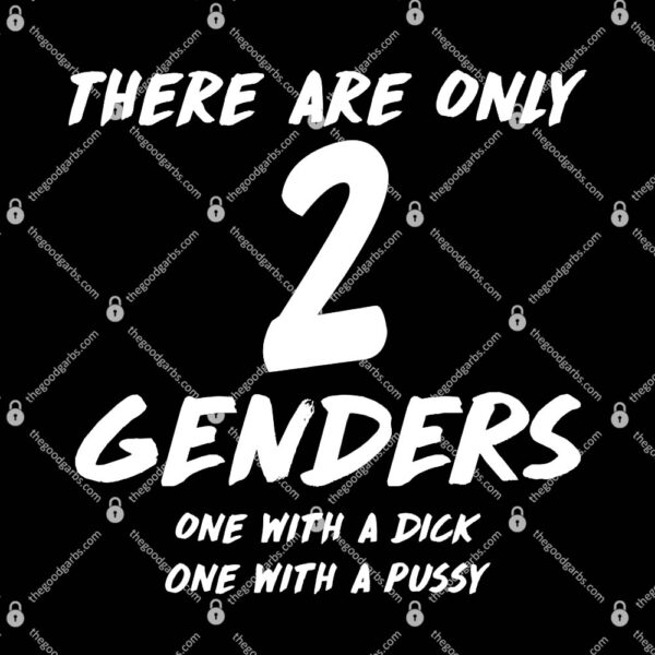 There Are Only 2 Genders One With A Dick One With A Pussy T-Shirt