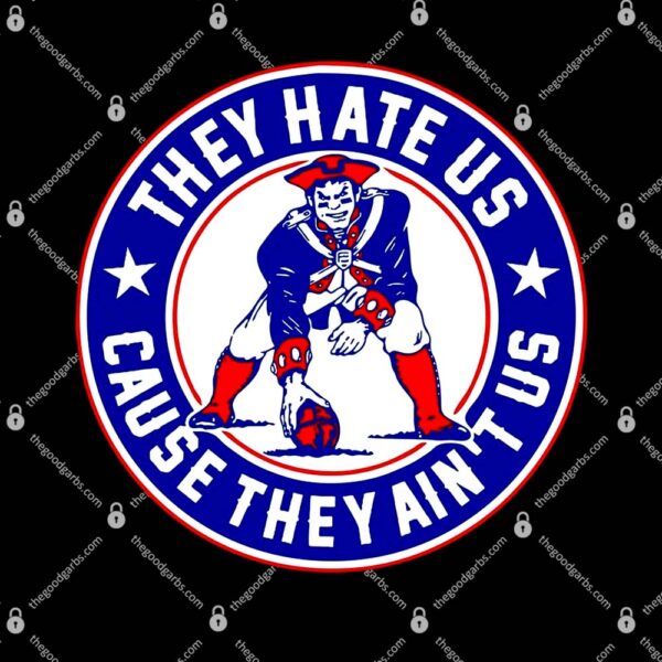 They Hate Us Cause They Ain't US New England T-Shirt