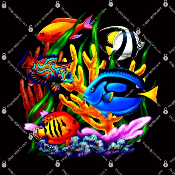 Tropical Fish T-Shirt