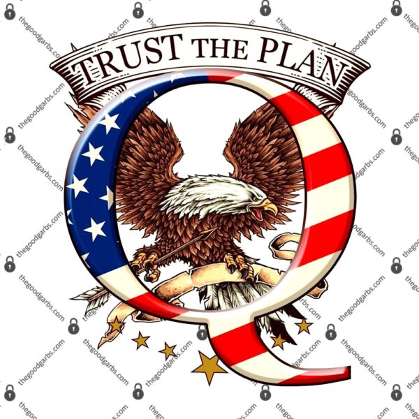Trust The Plan Qanon American Flag Eagle T-Shirt