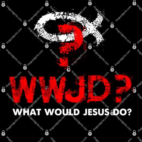 WWJD What Would Jesus Do T-Shirt