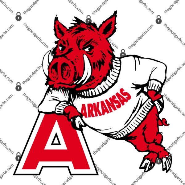 Arkansas Gift T-Shirt