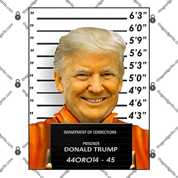 Donald Trump Mugshot Jail Prison T-Shirt