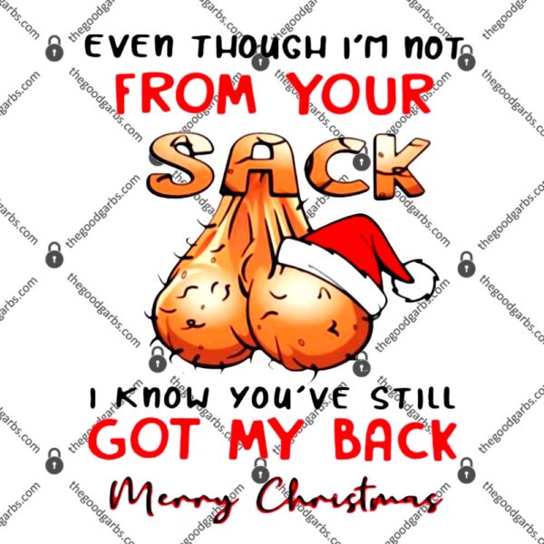 Even Though I’m Not From Your Sack I Know You Are Still Got My Back Merry Christmas T-Shirt
