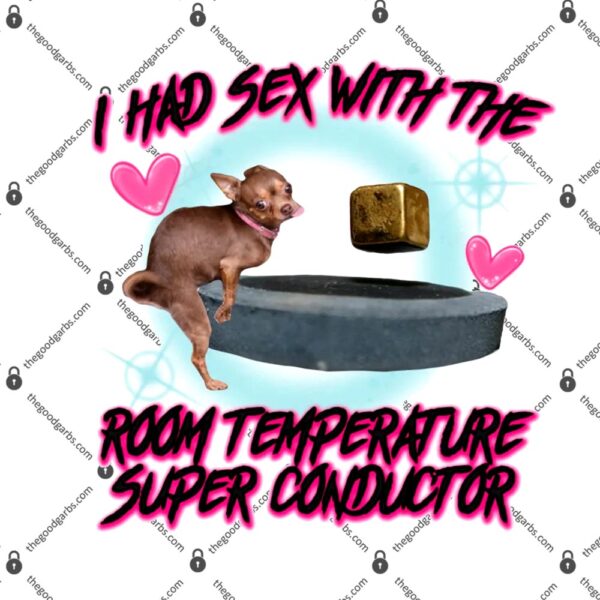 I Had Sex With The Room Temperature Super Conductor T-Shirt