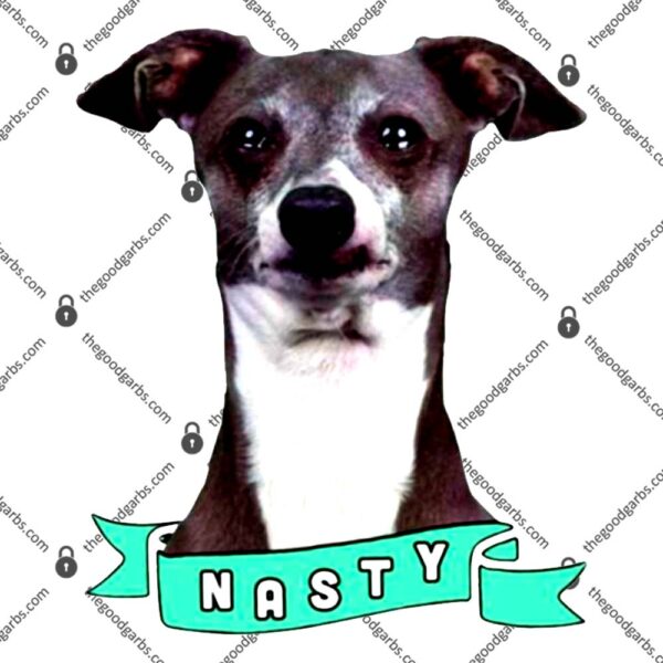 Nasty Kermit Jenna Marbles T-Shirt
