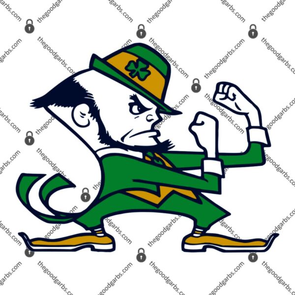 Notre Dame Fighting Irish T-Shirt