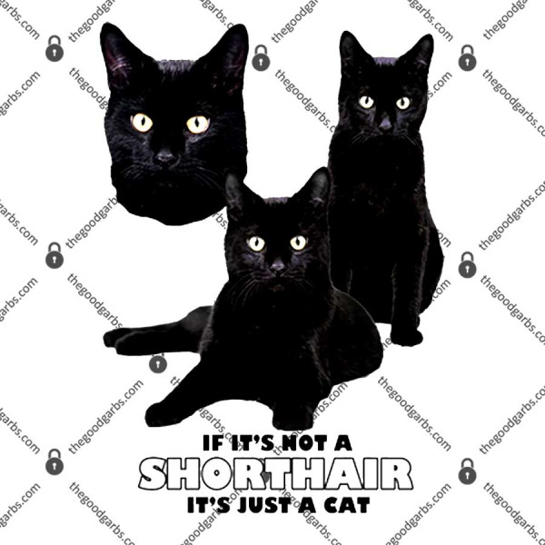 If It's Not a Shorthair It's Just A Cat T-Shirt