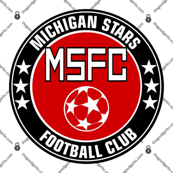 Michigan Stars Fc T-Shirt