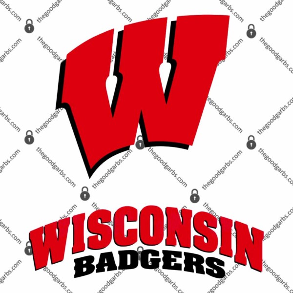 Wisconsin Badgers T-Shirt