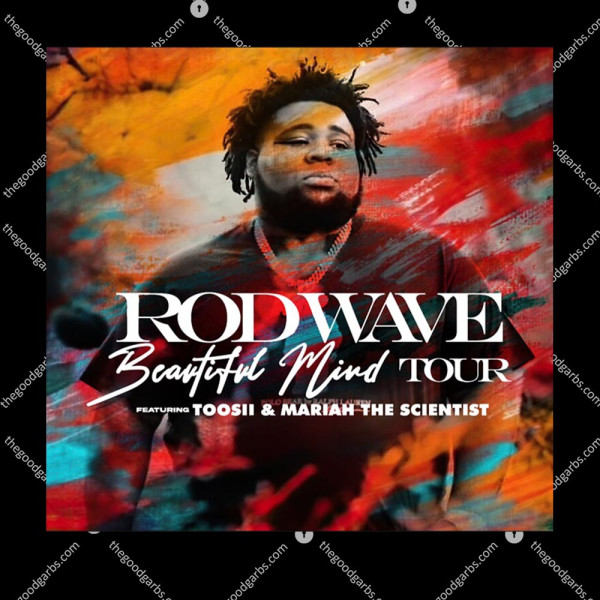Rod Wave Beautiful Mind Tour 2022 T-Shirt